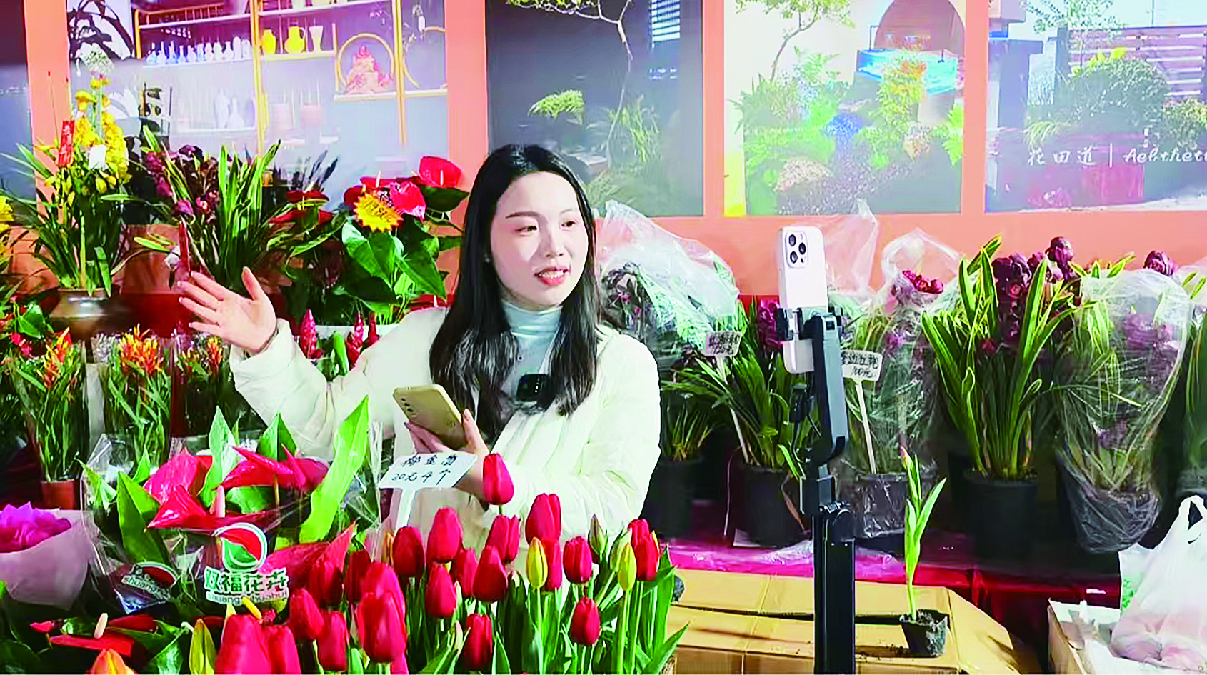 我市年宵花销售额首破四千万元