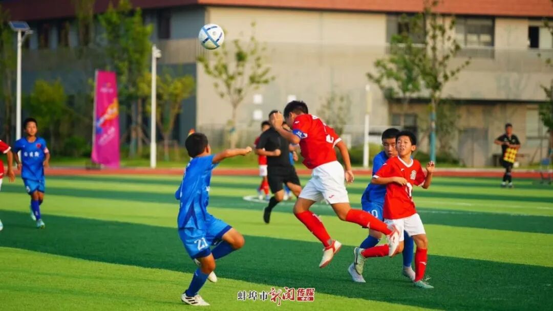 国字号！祝贺蚌埠31所学校