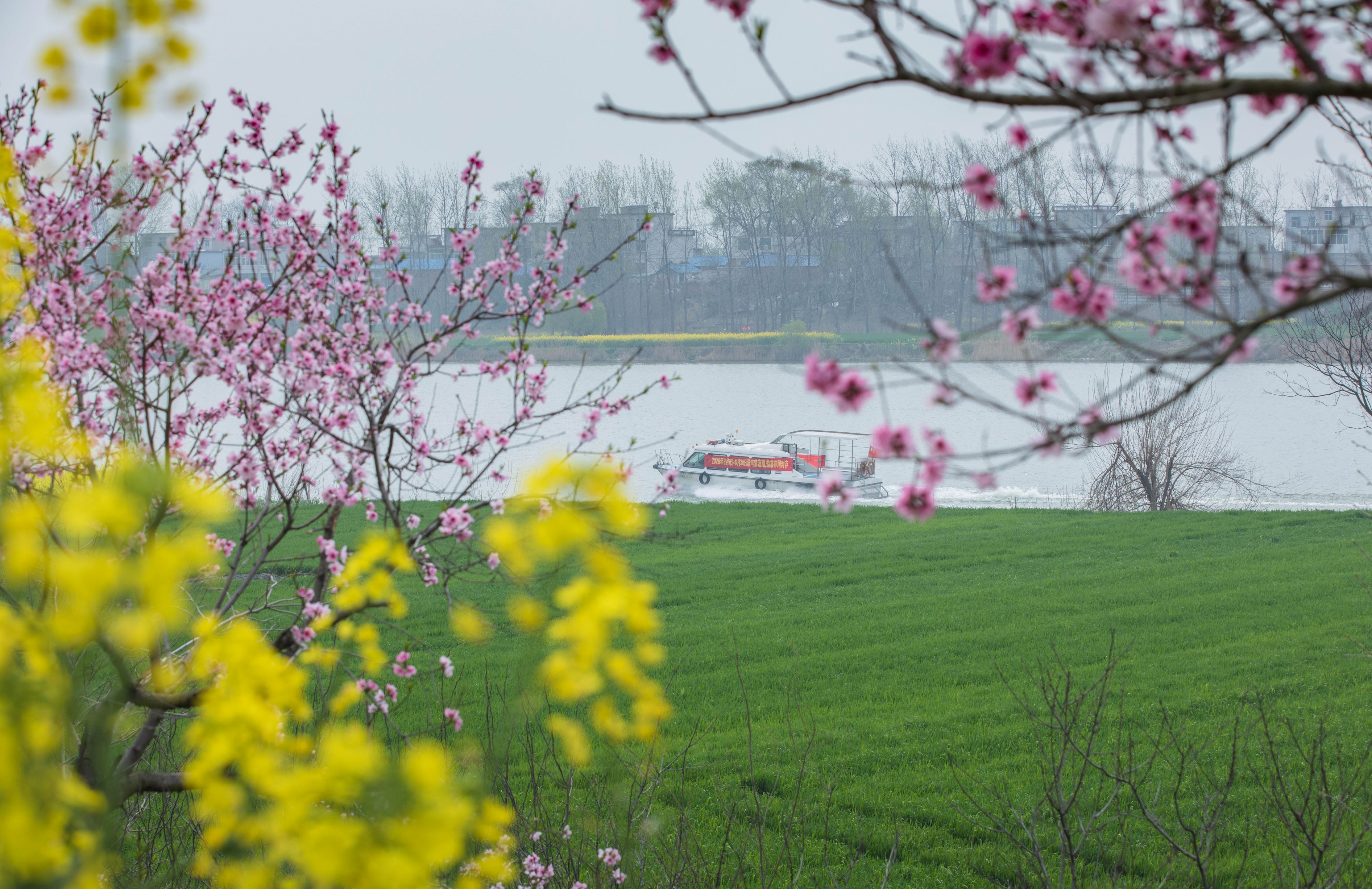 蚌埠：碧水繁花景  生态惹人醉