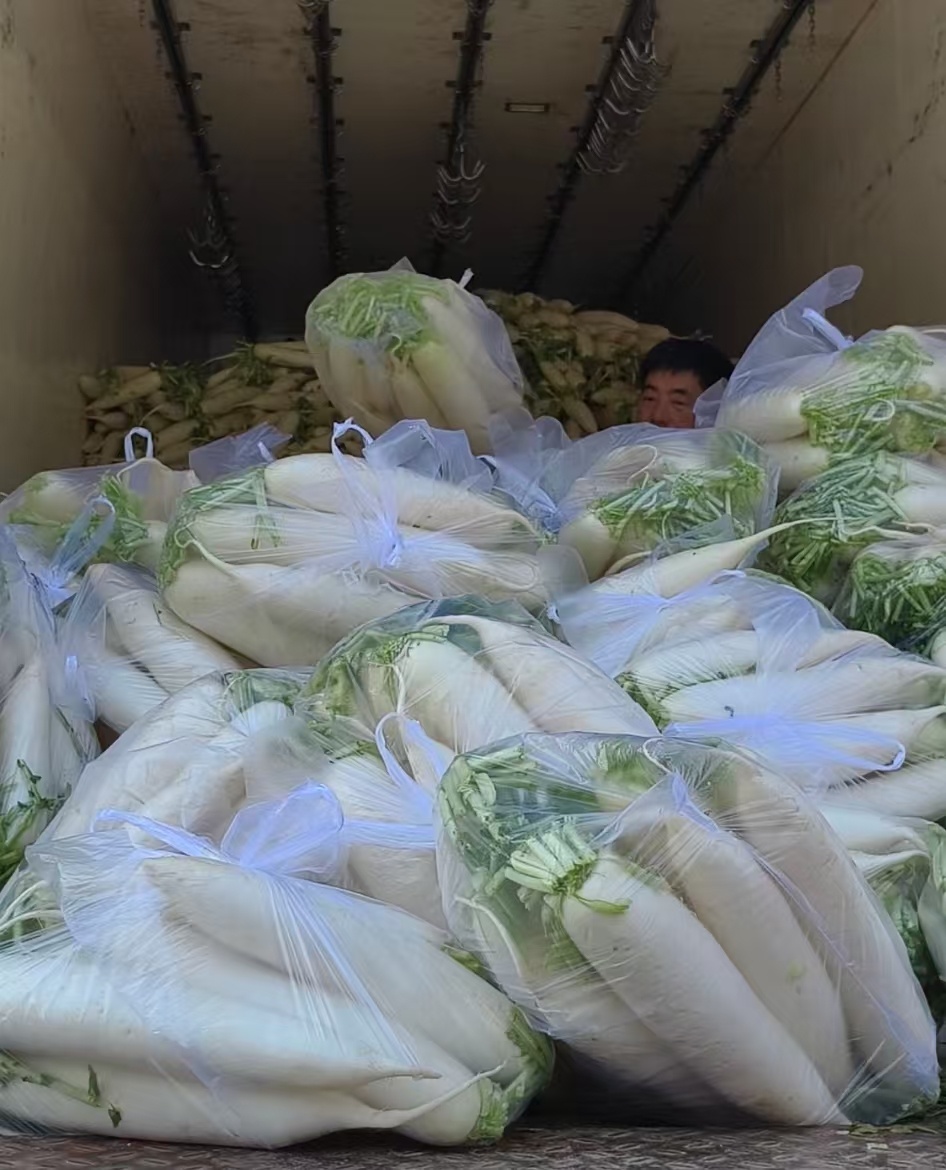 清明假期 我市“菜篮子”物丰价稳