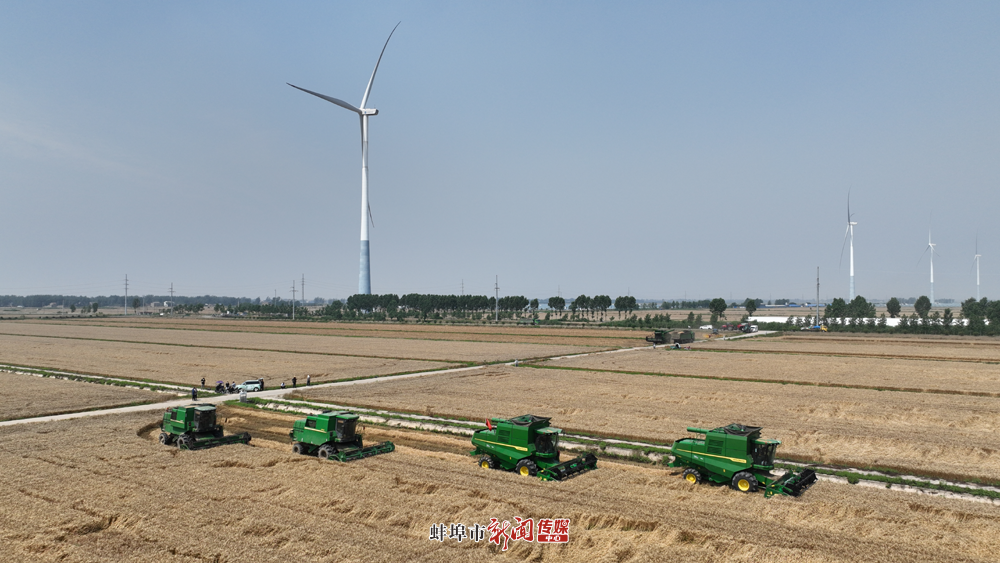 怀远县171万亩小麦全面收割