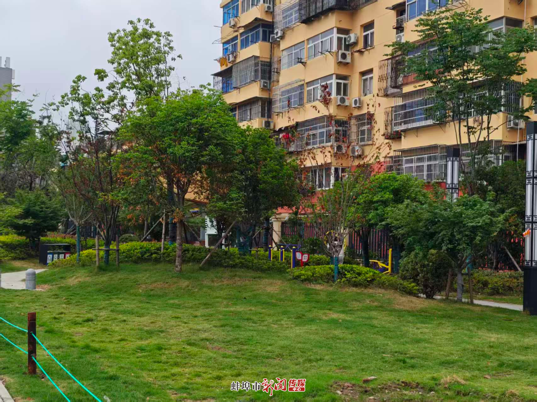 “边角料”里绘出幸福景